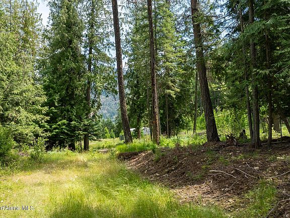 5th image of 161 Finch Trl