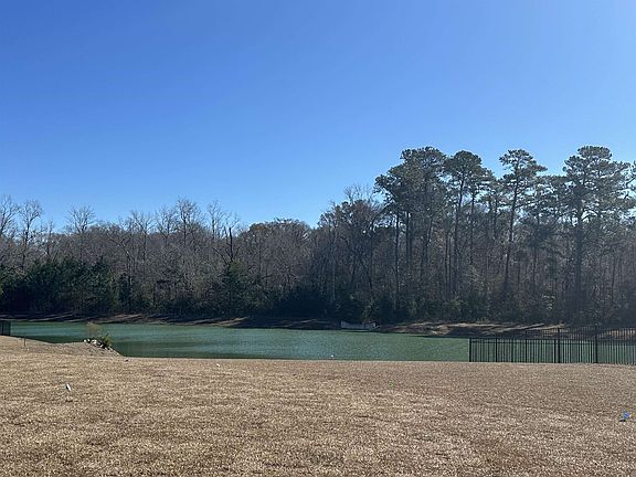 2nd image of 905 Birch Garden Dr. Lot 130 ODESSA A6