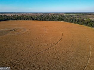 0 Buck Rd, Morgan, GA 39866