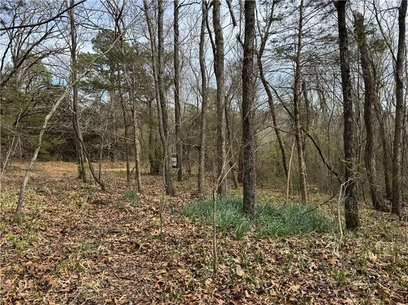 0 Nc #5083, Mount Judea, AR 72655