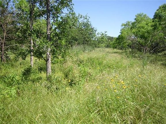 Cleared meadow; building site