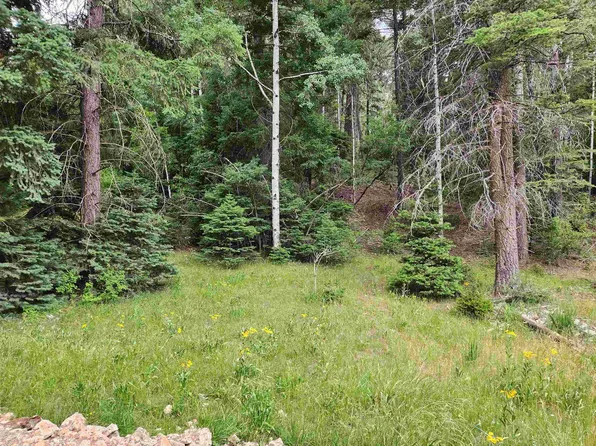 703 Woodlands Way, Cloudcroft, NM 88317