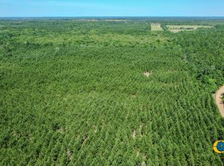 0 Miller Rd W, Mauk, GA 31058