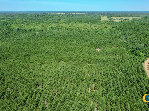 0 Miller Rd W, Mauk, GA 31058