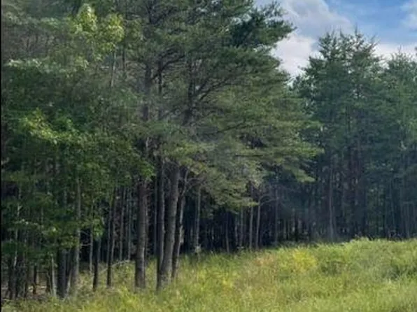 304 Musket Dr, Ruther Glen, VA 22546