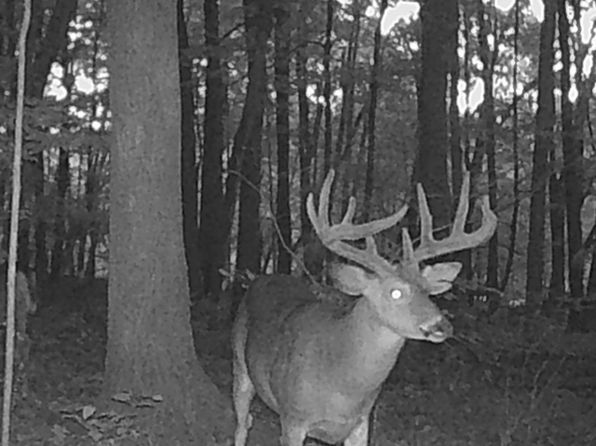 0 Glades Rd, Minford, OH 45653