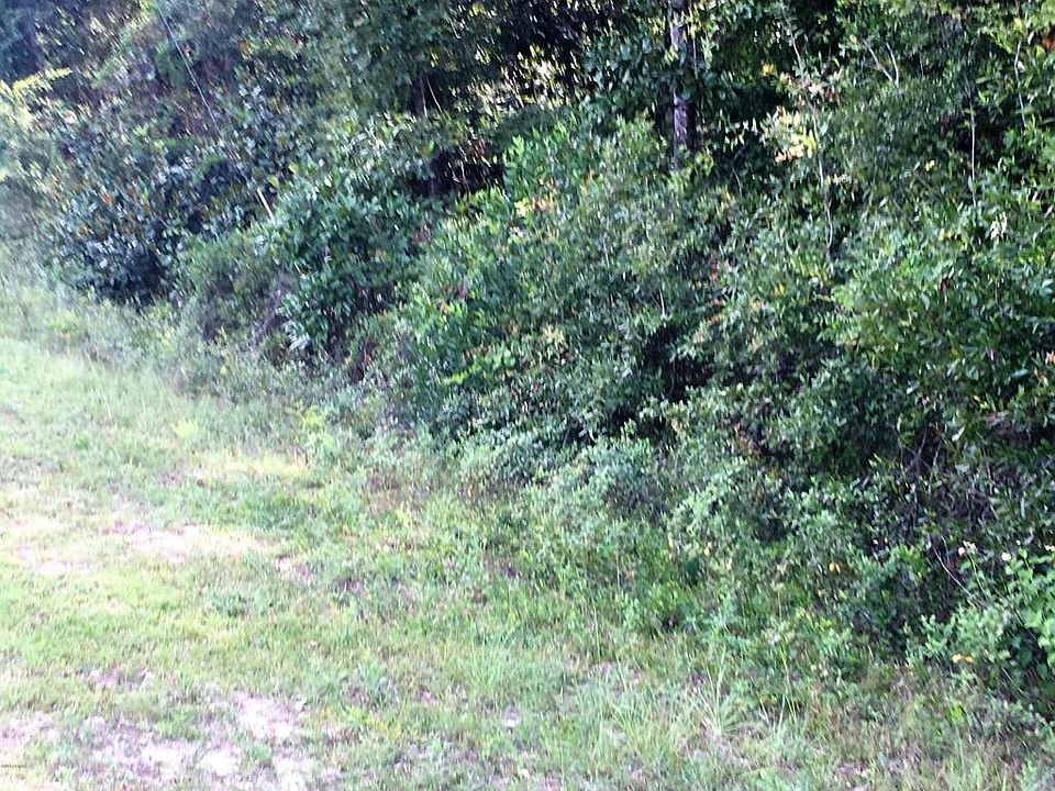 1st image of 10537 Alex Dr