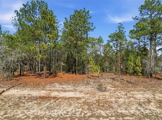 2855 W Gaucho Dr, Citrus Springs, FL 34433