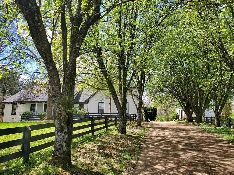 9586 Liberty Church Rd — Photo 2
