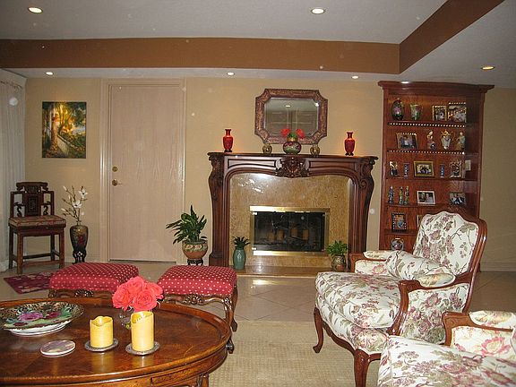 Living Room fireplace