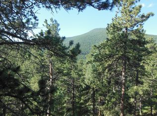 12109 Broken Arrow Dr, Conifer, CO 80433