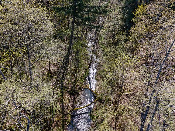 5th image of 1910 Proctor Rd