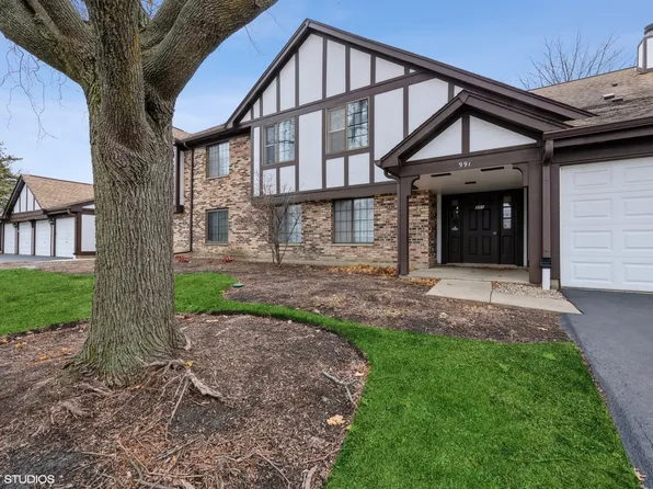 991 Yosemite Trl #A5, Roselle, IL 60172