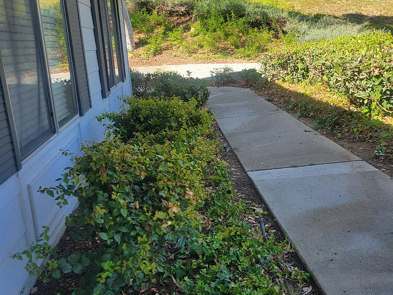 walk way from front door