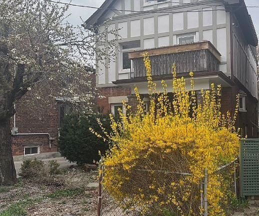2nd image of 89 Ellsworth Ave