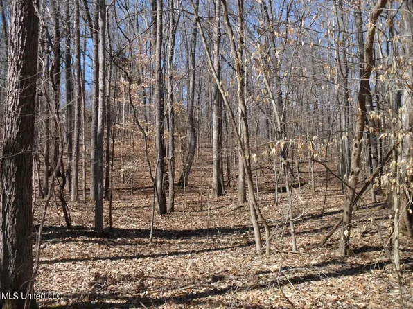 600 Kimes Cv, Sardis, MS 38666