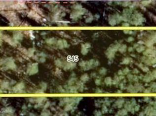 L-545 E Caswell Lakes Rd, Willow, AK 99688