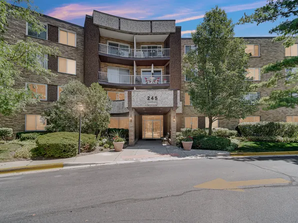 245 S Park Ln Unit 419, Palatine, IL 60074