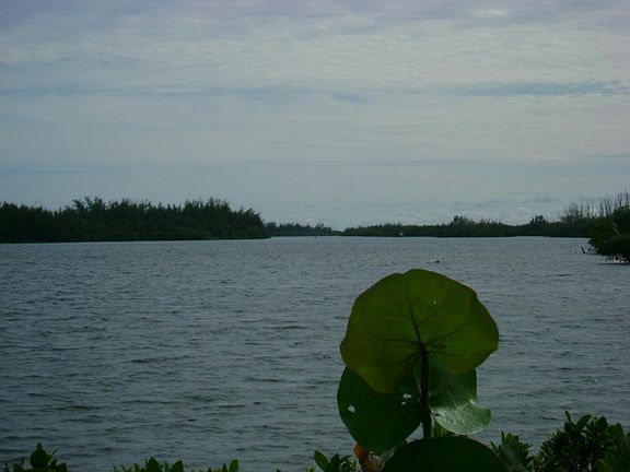 DSC06410