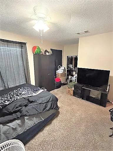 3514 Cameron Spgs — Photo 3
