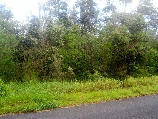 1st image of Orchid Pkwy Lot 17