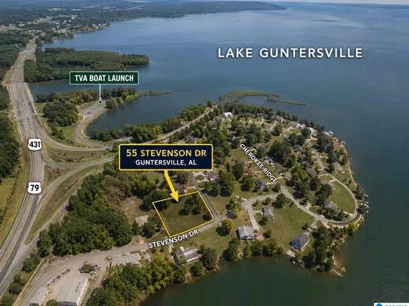 55 Stevenson Dr, Guntersville, AL 35976