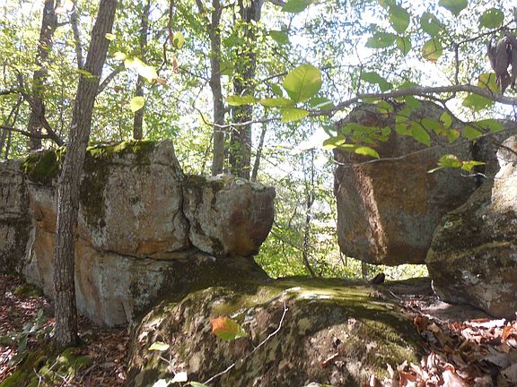 54th image of this home