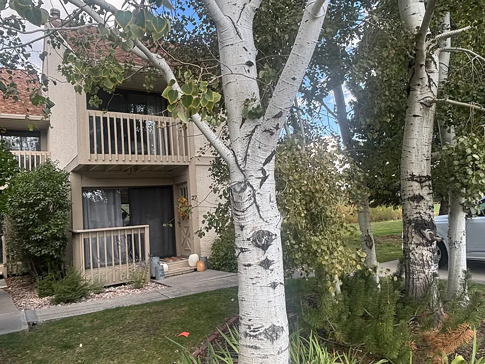 27 Bancroft Ct