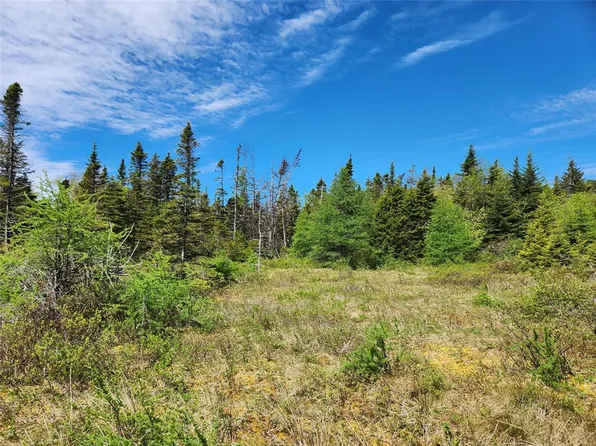 0 Old Track Road, Northern Bay Sands, NL A0A0A5