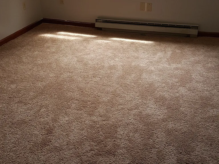 226 Hillside Ave #3 — Photo 4