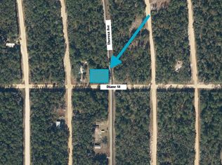 TBD THERESA AVENUE LOT 14, INTERLACHEN, FL 32148
