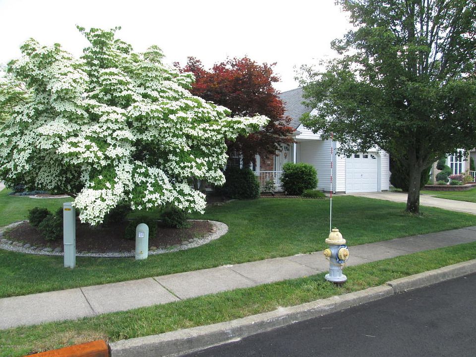 2nd image of 66 Trent Dr