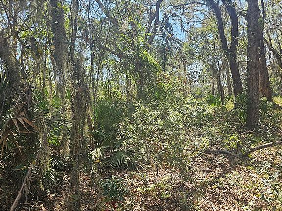 3rd image of 304 Burford Rd