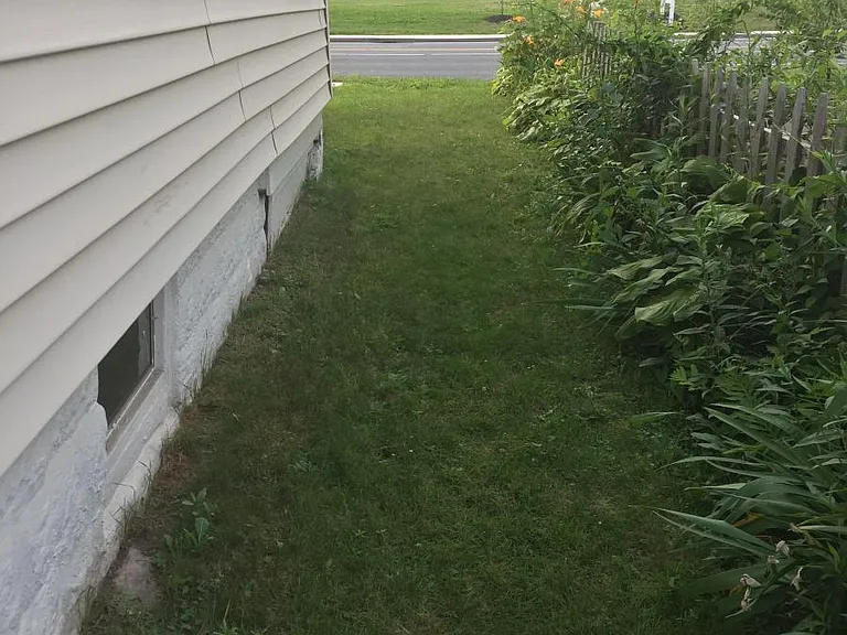 Side lawn