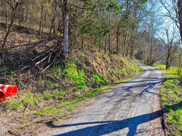 War Valley Rd, Rogersville, TN 37857