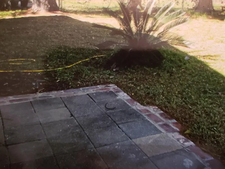 1229 Georgia St — Photo 11