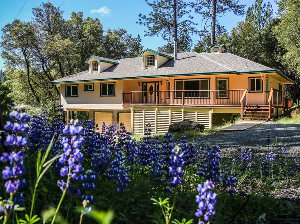 23470 Valley View Dr, Pioneer, CA 95666