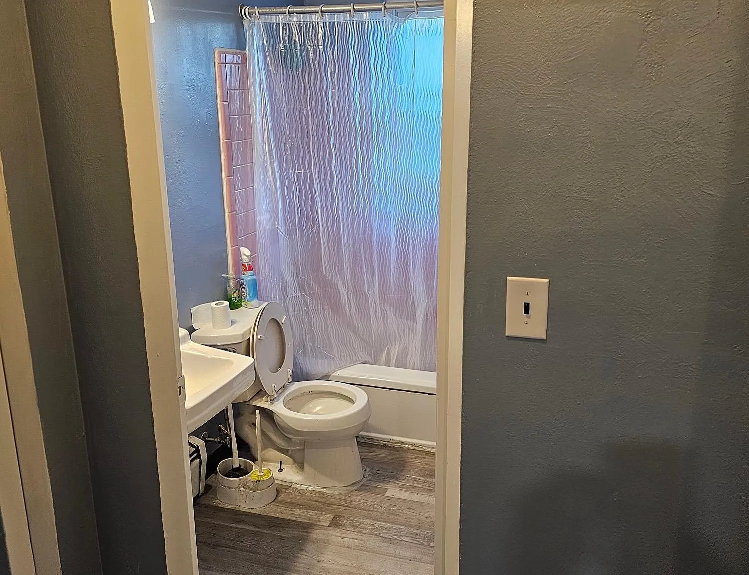 1 bed, 750 sqft, $900 — Photo 4