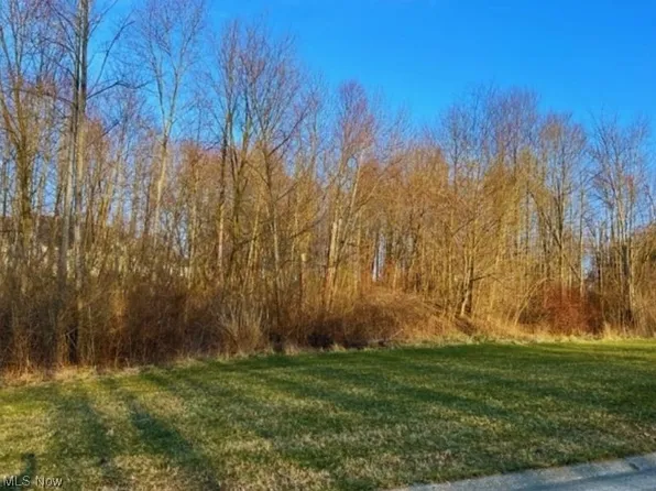 Birchmont Ave SW, Canton, OH 44706