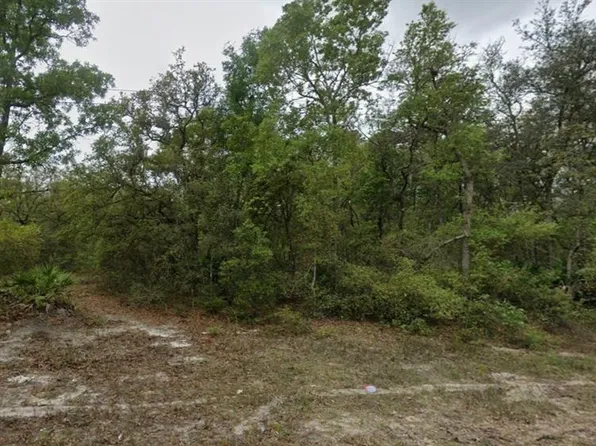 Highline Trl Lot 16, Satsuma, FL 32189
