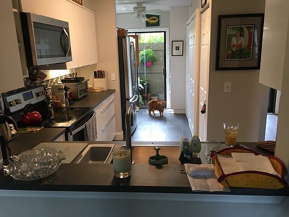 New cabinets and appliances 