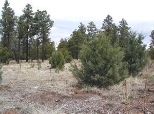 2768 High Ridge Rd, Overgaard, AZ 85933