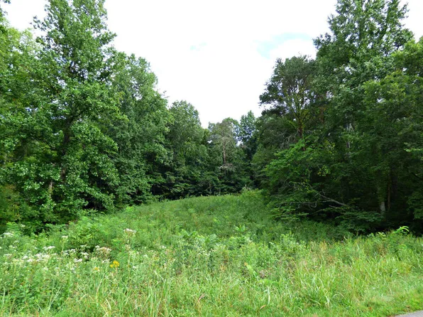 LOT 2 Dumplin Loop Rd, New Market, TN 37820