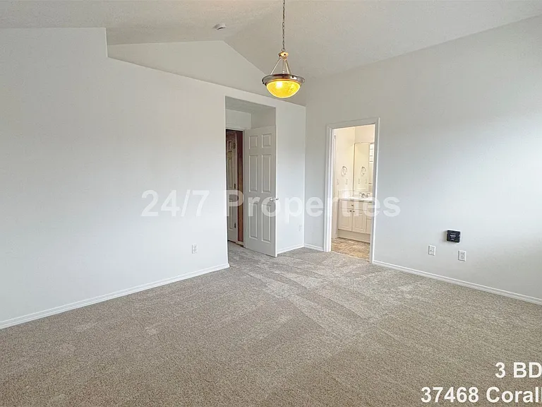 37468 Coralburst St — Photo 14
