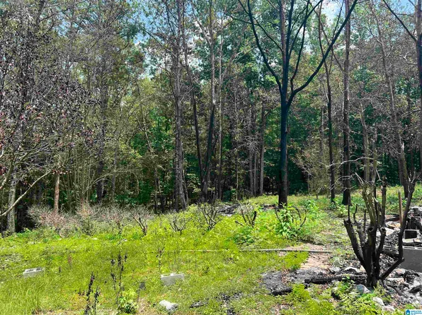 589 County Road 878 #1, Clanton, AL 35045