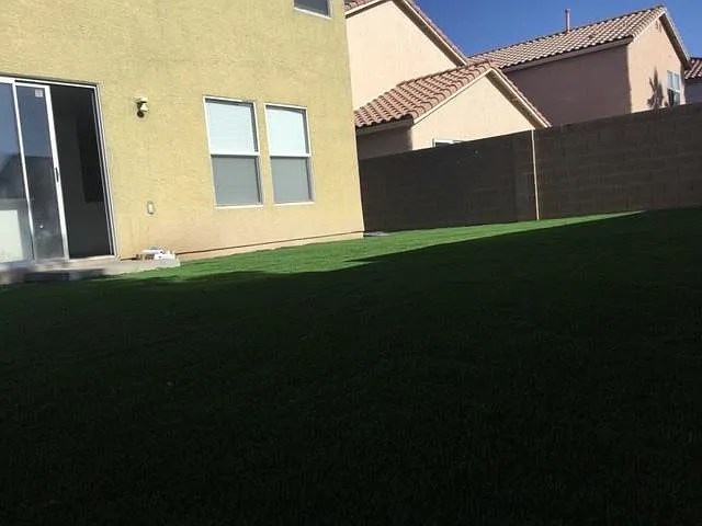10280 Purple Primrose Dr — Photo 23