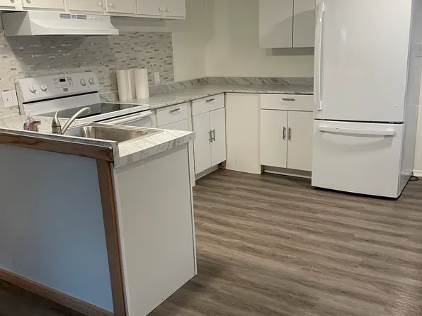 12732 Charlie B Way, Thonotosassa, FL 33592