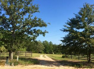 907 Miller Rd, Mauk, GA 31058