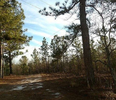 2nd image of 3357 Hillmon Grove Rd