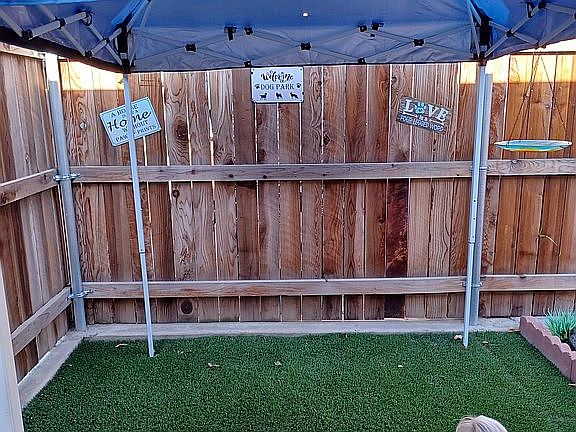 Doggy Park